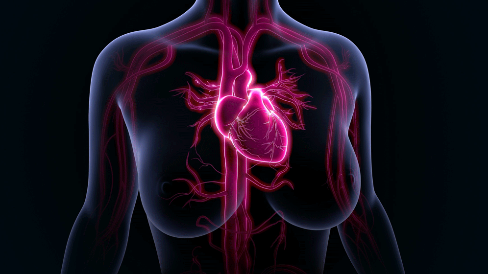 Cardio Diagnostics